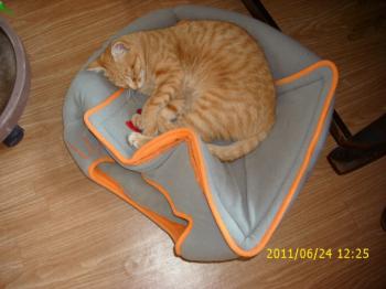 Nena Bild von Nena