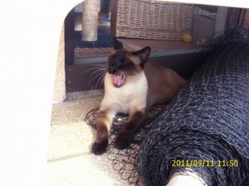 Biberoni Bild von Biberoni