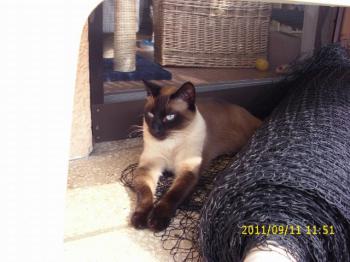 Biberoni Bild von Biberoni