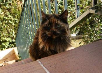 Minnie Bild von Minnie