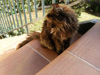 Minnie Bild von Minnie