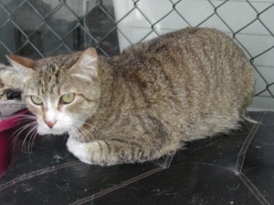 Bild von 4273-Eileen