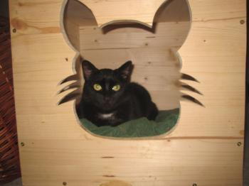 Sally Bild von Sally
