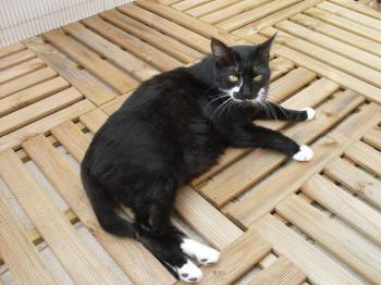 Miky Bild von Miky