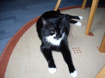 Miky Bild von Miky