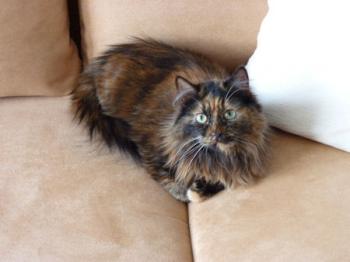 Minnie Bild von Minnie