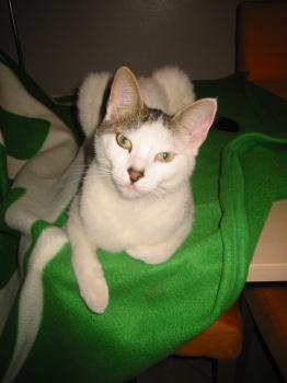 Bild von Indira