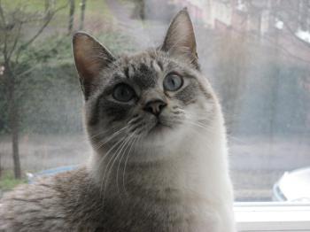 Tino Bild von Tino