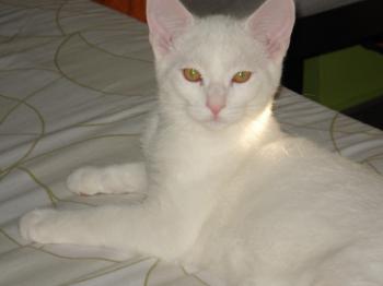 Gordi Bild von Gordi