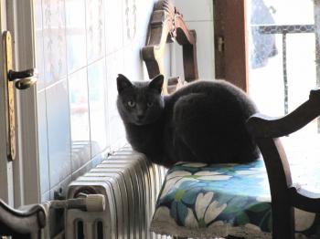 Lumen Bild von Lumen