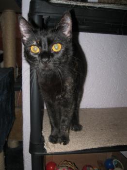 Penny Bild von Penny