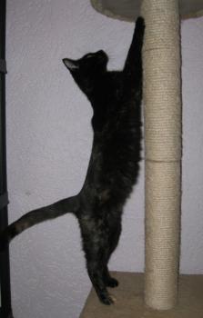 Penny Bild von Penny