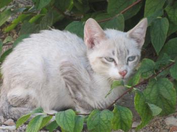 Bild von Bubi