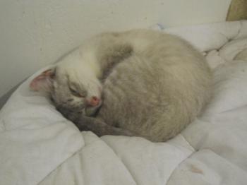 Bild von Bubi