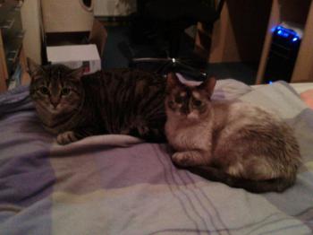 Mitze Bild von Mitze