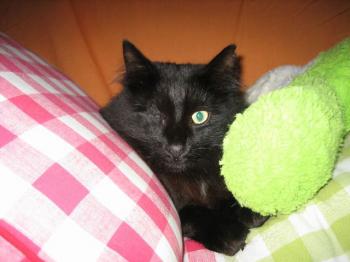 Bild von Charly