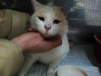 Averil Bild von Averil