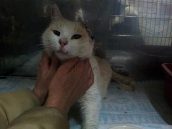 Averil Bild von Averil