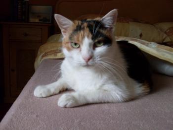 Bild von Trixi