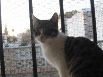 Prinz Bild von Prinz