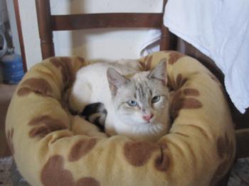 Bild von Bubi