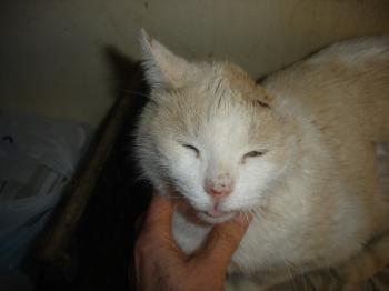 Averil Bild von Averil