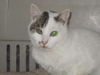 Mausi Bild von Mausi