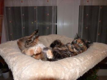 Minnie Bild von Minnie
