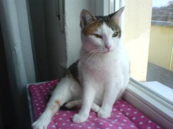 Polly Bild von Polly