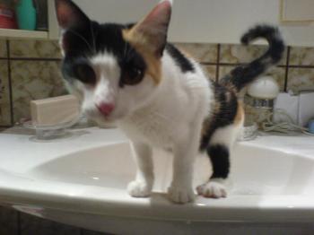 Trixi Bild von Trixi