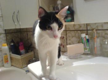 Trixi Bild von Trixi