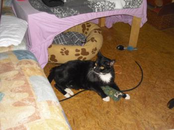 Miky Bild von Miky