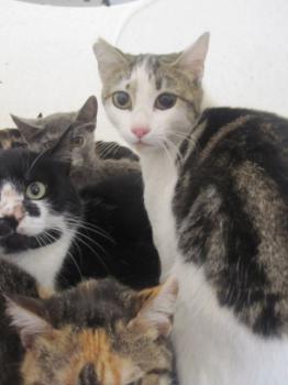 Ohne Namen 4685 Bild von Penny