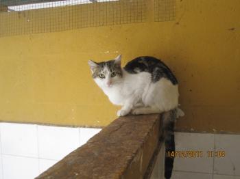 Ohne Namen 4685 Bild von Penny