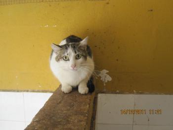 Ohne Namen 4685 Bild von Penny