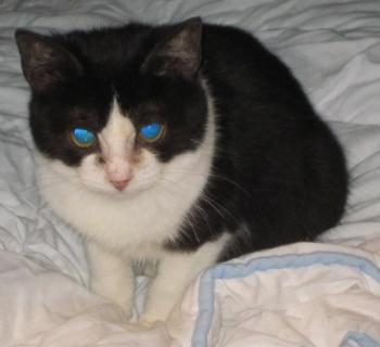 Ohne Namen 4686 Bild von Polly