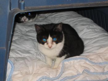 Ohne Namen 4686 Bild von Polly