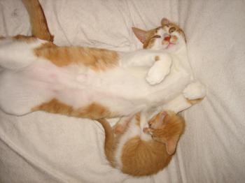 Gustavo Bild von Gustavo