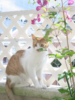 Gustavo Bild von Gustavo