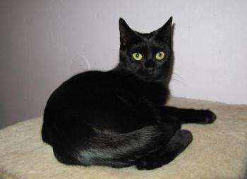 Lucia Bild von Lucia