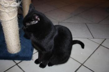 Salem Bild von Salem