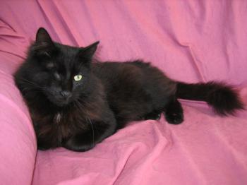 Bild von Charly