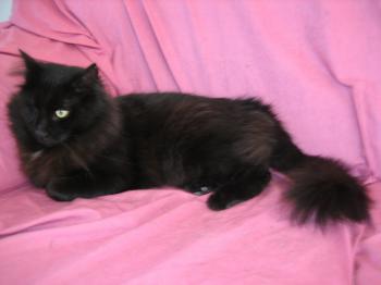 Bild von Charly