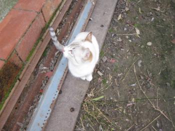 Bild von Bubi