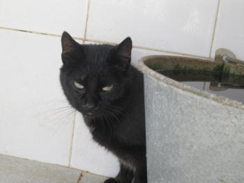 Ohne Namen 4708 Bild von Kimba