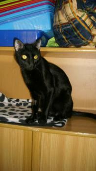 Rodolfo Bild von Rodolfo