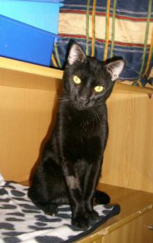 Rodolfo Bild von Rodolfo