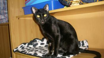 Rodolfo Bild von Rodolfo