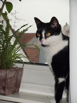 Jina Bild von Jina