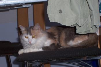 Susi Bild von Susi